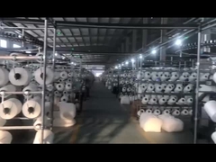 Bikini de los trajes de natación